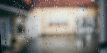 Nenad Stojkovic/Flickr