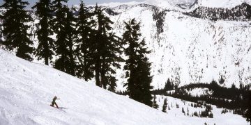 (Peter Stevens/Flickr)