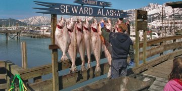 Henk Binnendijk/Flickr