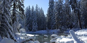 Bonnie Moreland/Flickr