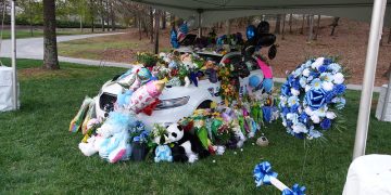 Greenville Daily Photo/Flickr