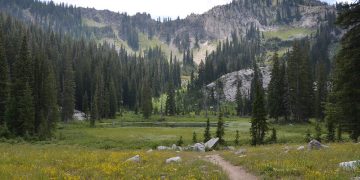 (Intermountain Forest Service, USDA Region 4 Photography/Flickr)