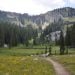 (Intermountain Forest Service, USDA Region 4 Photography/Flickr)