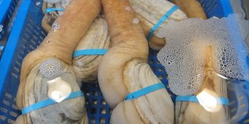 Eugene Kim / flickr.com