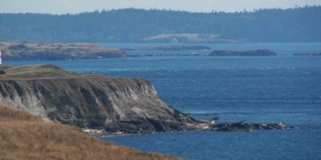 (Maureen Simmons/flickr)