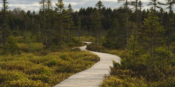 Photo by Yasmine Duchesne on Unsplash