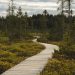 Photo by Yasmine Duchesne on Unsplash