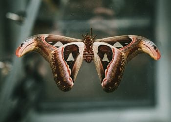 Photo by Frankie Mish on Unsplash
