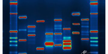 Micah Baldwin/Flickr