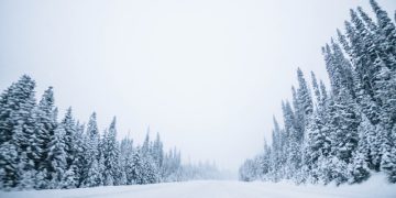 Photo by Kei on Unsplash