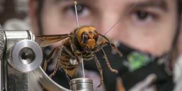 U.S. Department of Agriculture (USDA) /Flickr