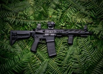 Photo by STNGR Industries on Unsplash
