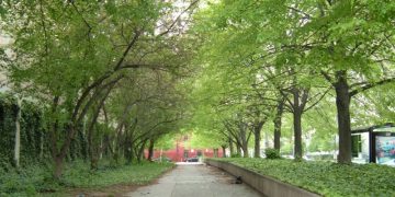 danielle_blue/Flickr