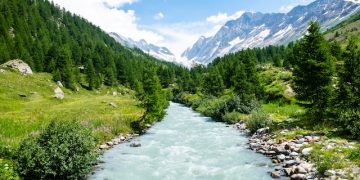 Photo by Joao Branco on Unsplash