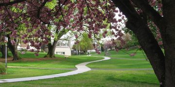 Seattle Parks and Recreatio/Flickr