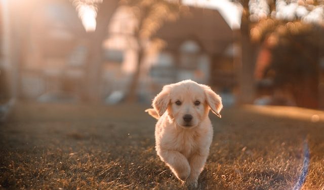 Photo by Cristian Castillo on Unsplash