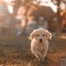 Photo by Cristian Castillo on Unsplash