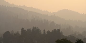 Paul WicksFollow/Flickr