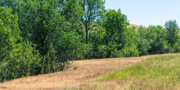 USDA NRCS Montana/Flickr