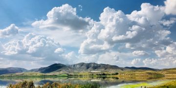 Photo by Neda Astani on Unsplash