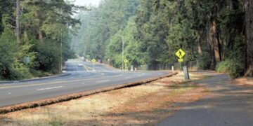 Photo by ennif pendahl on Unsplash